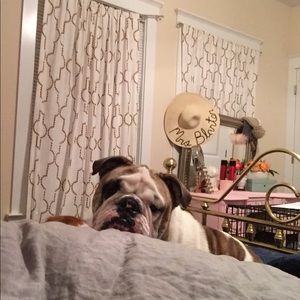 Meet your Posher, James